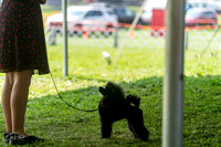 20240816-DSC00171