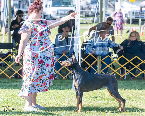 20230514-DSC02776