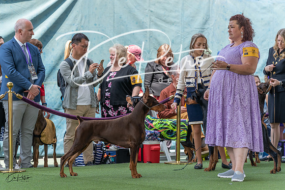 20230509-DSC01179