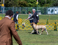 20230514-DSC03591