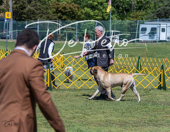 20230514-DSC03591