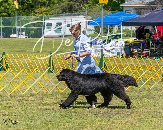 20230514-DSC03835