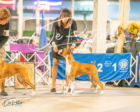 20261022-DSC01892