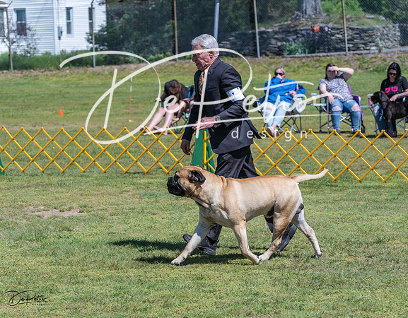 20230514-DSC03649