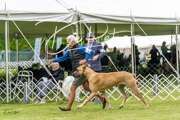 20230427-DSC02732