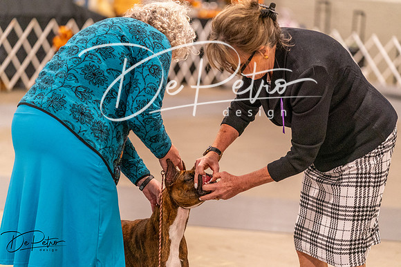 20261022-DSC00395