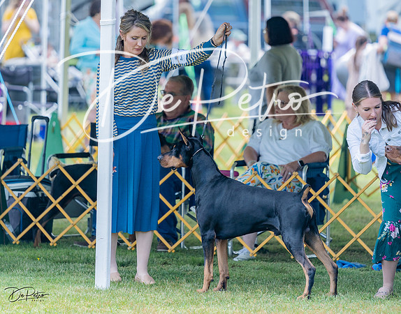 20230513-DSC08674
