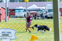 20230512-DSC05368