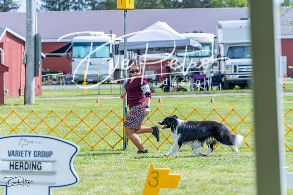 20230512-DSC05368