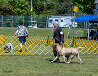 20230514-DSC03586