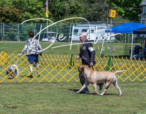 20230514-DSC03586