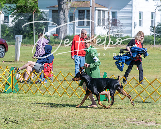 20230514-DSC03304