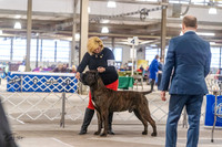 20230331-DSC05384