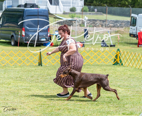 20230513-DSC08487