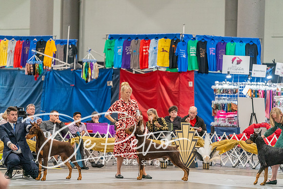 20260927-DSC05756