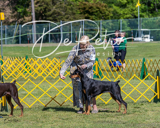 20230514-DSC02930