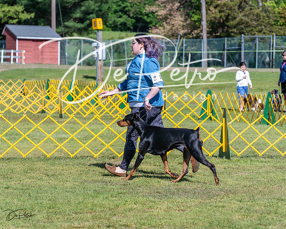 20230514-DSC03076