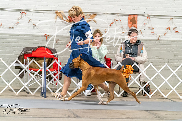 20261022-DSC00411