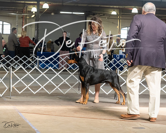 20230402-DSC09040