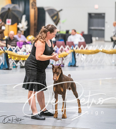 20260926-DSC04074