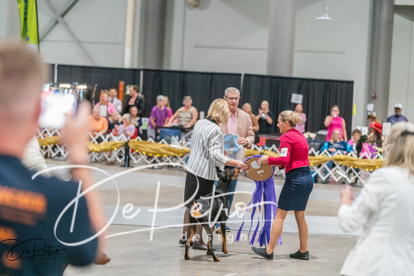 20260927-DSC05275