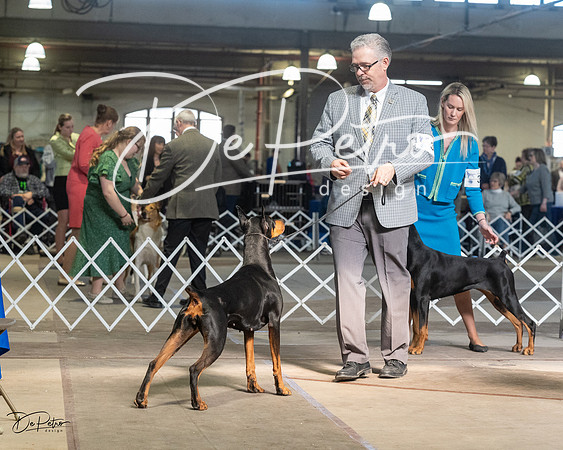 20230402-DSC09211