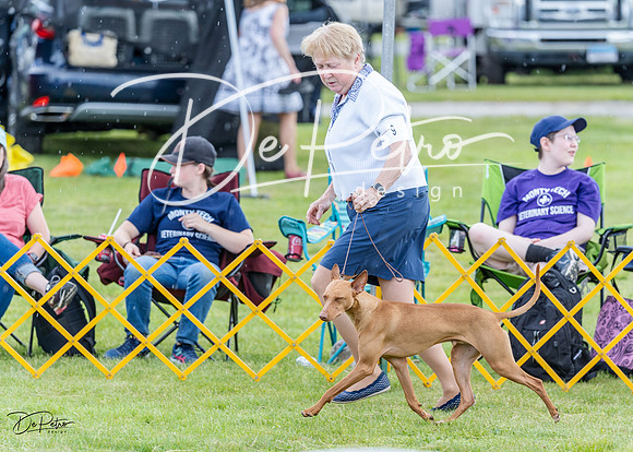 20230512-DSC03699