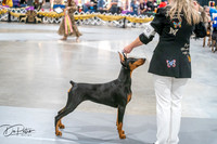 20260926-DSC03962
