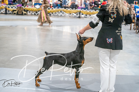 20260926-DSC03962