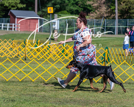 20230514-DSC02834