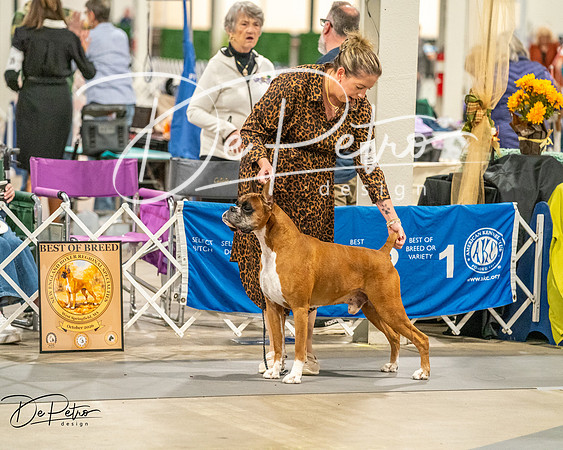 20261022-DSC02037