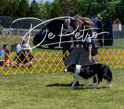20230514-DSC04885