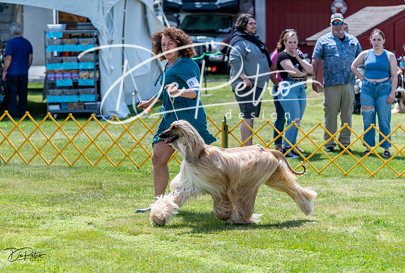 20230513-DSC09155