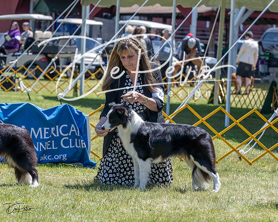 20230514-DSC04783