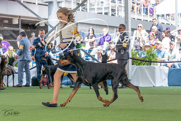 20230509-DSC01265