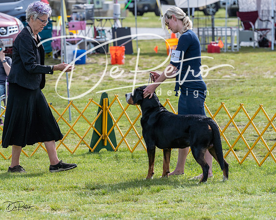 20230513-DSC00793