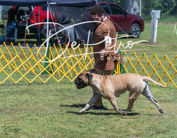 20230514-DSC03725