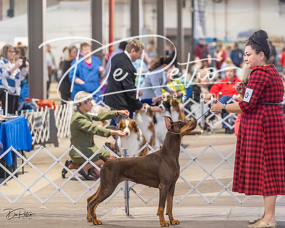20230401-DSC06616