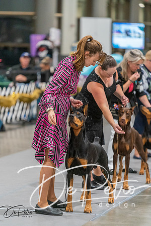 20260926-DSC05036