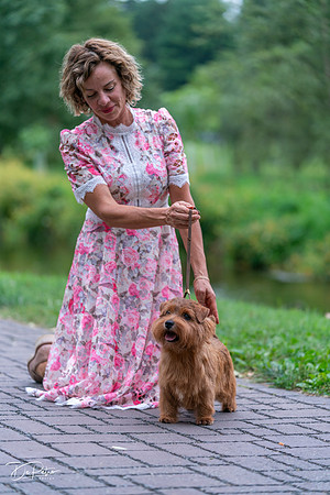 20260912-DSC03337
