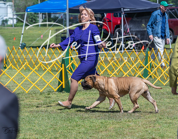 20230514-DSC03775