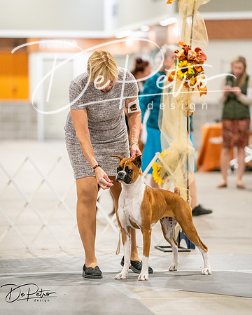 20261022-DSC03085