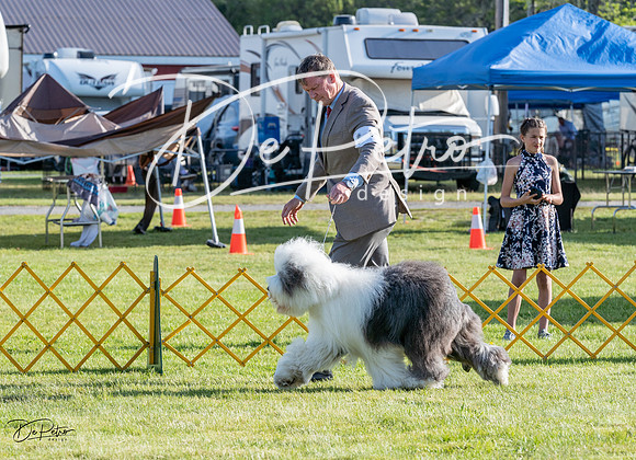 20230513-DSC02435