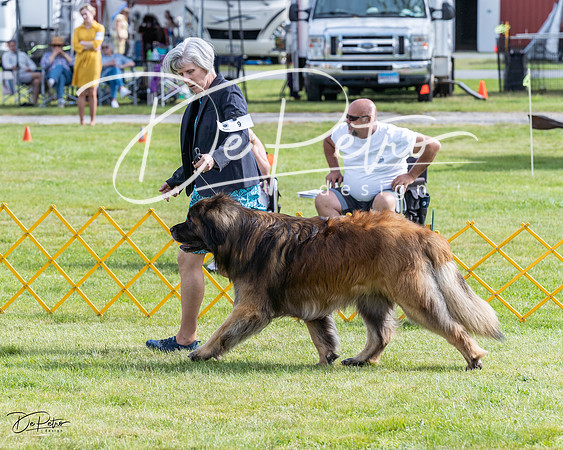 20230513-DSC00620
