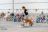 20261022-DSC00046