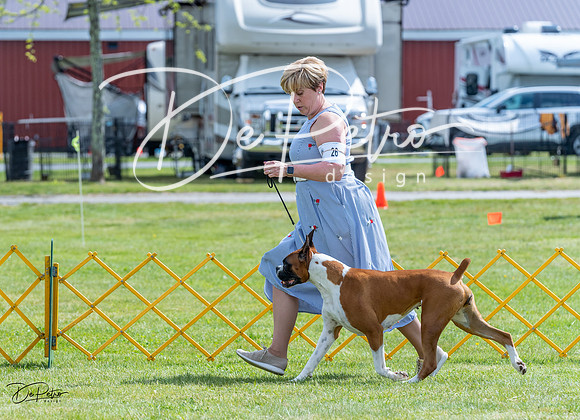 20230512-DSC05000