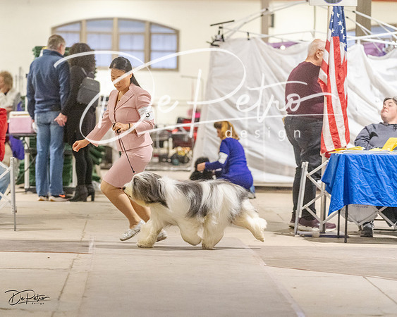 20230401-DSC07948