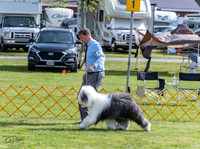 20230513-DSC01213