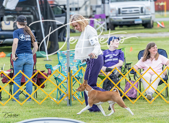 20230512-DSC03726