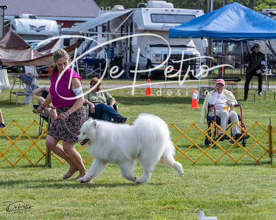 20230513-DSC00832